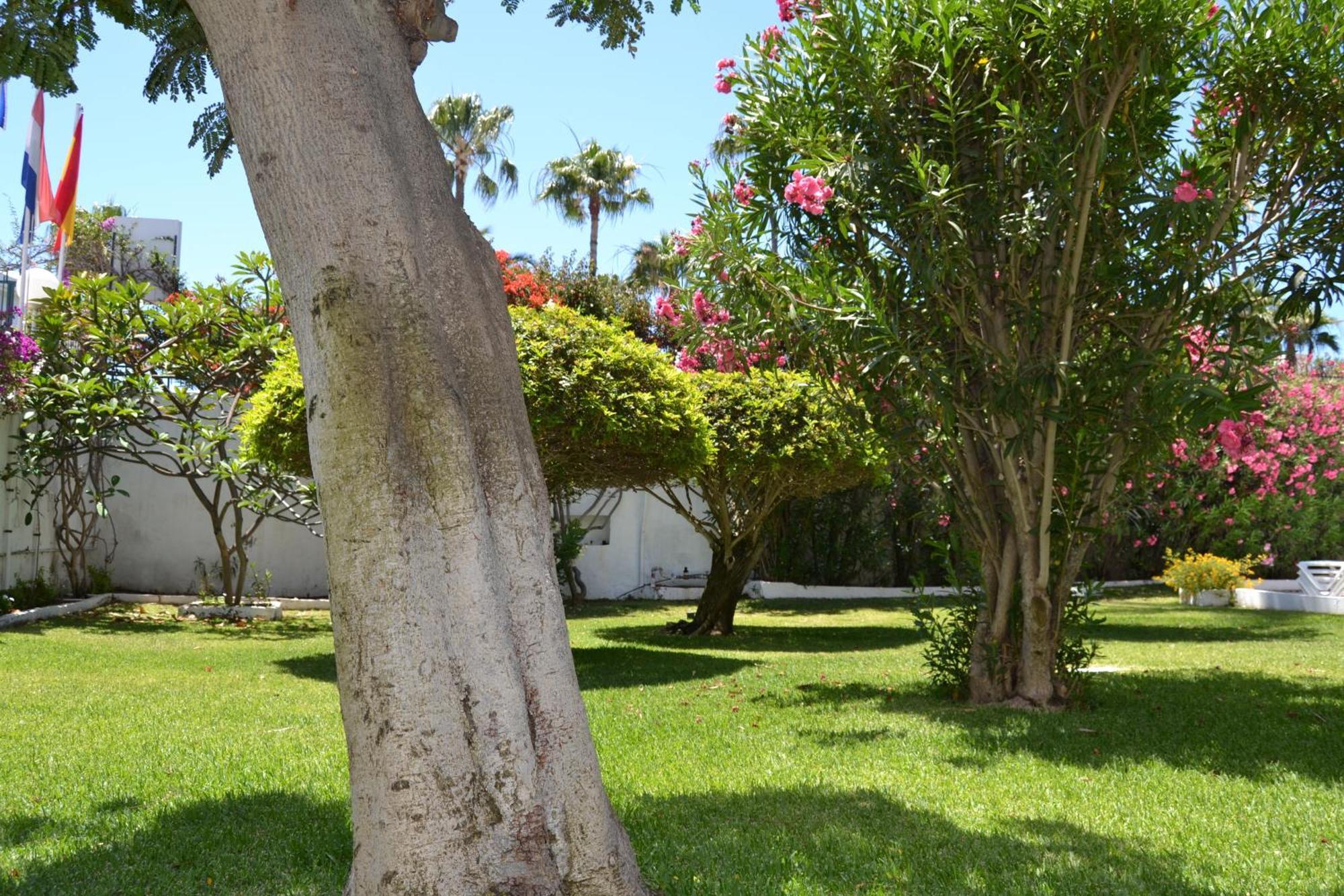 Apartamentos Don Quijote Playa del Ingles  Exterior photo